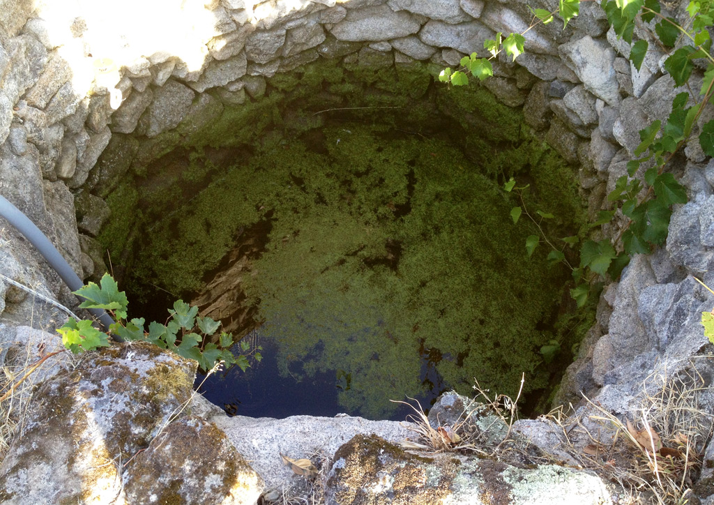 An agricultural well in central Portugal showing the typical water level in the height of the dry summer period.